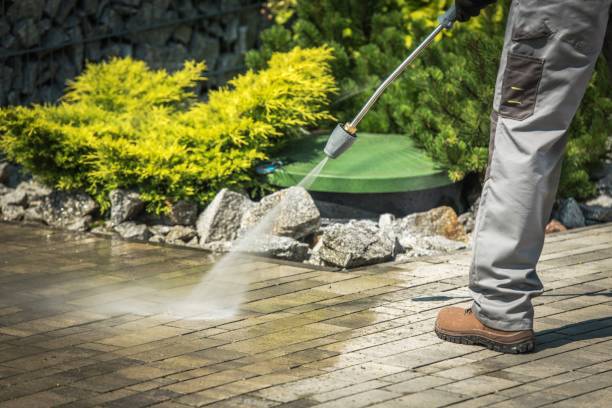 Best Gutter Cleaning  in Preston, MN